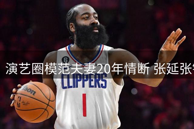 演艺圈模范夫妻20年情断 张延张锦程低调离婚内情曝光