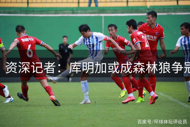资深记者：库明加或成森林狼争冠关键拼图 短期合约值得尝试