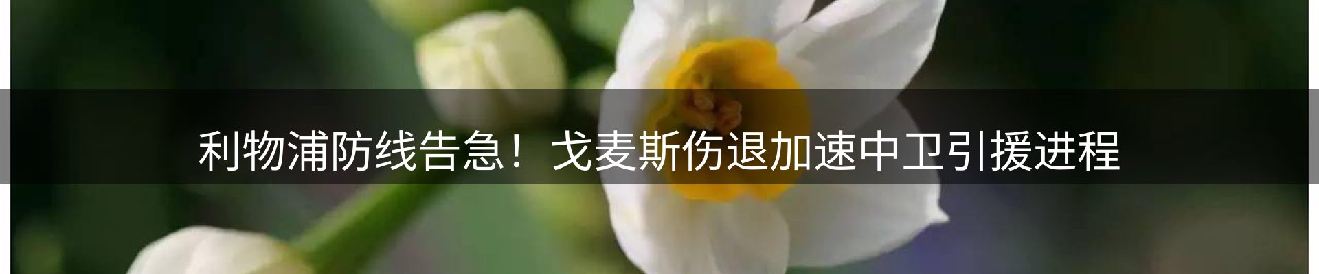 体育资讯