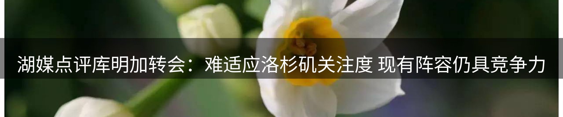 资讯盘点