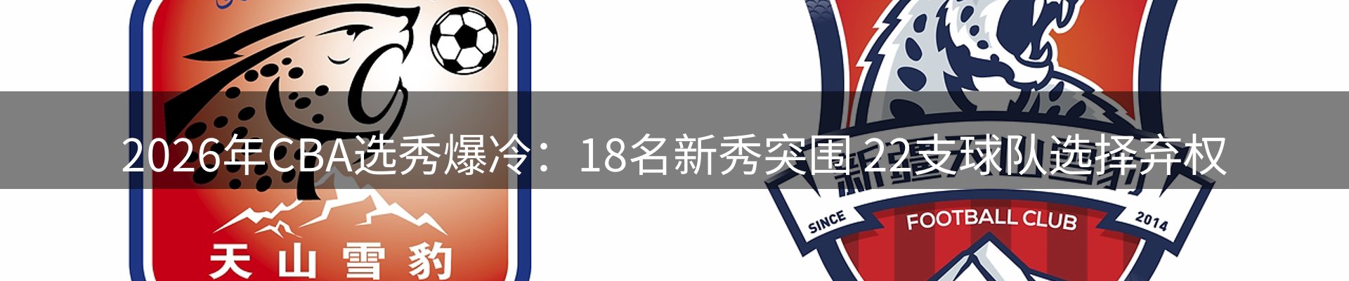 体育资讯