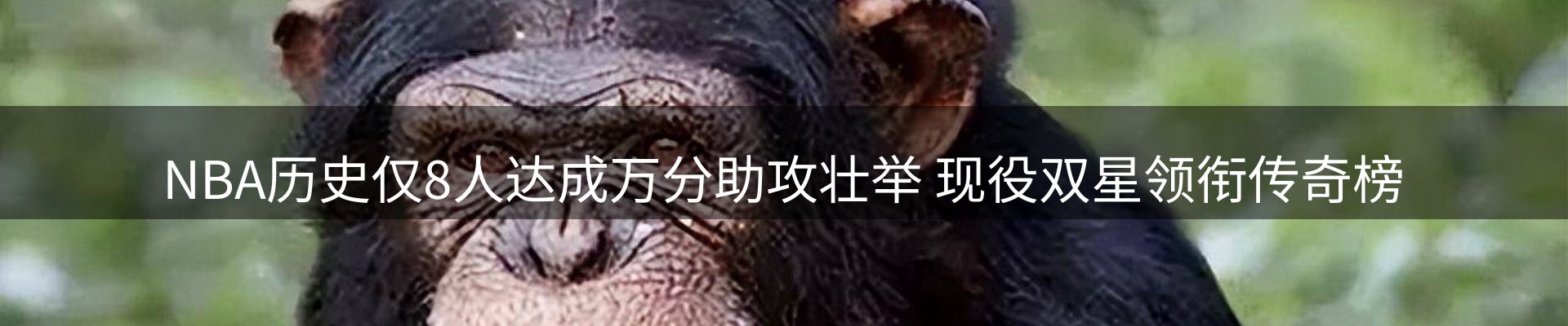 体育资讯